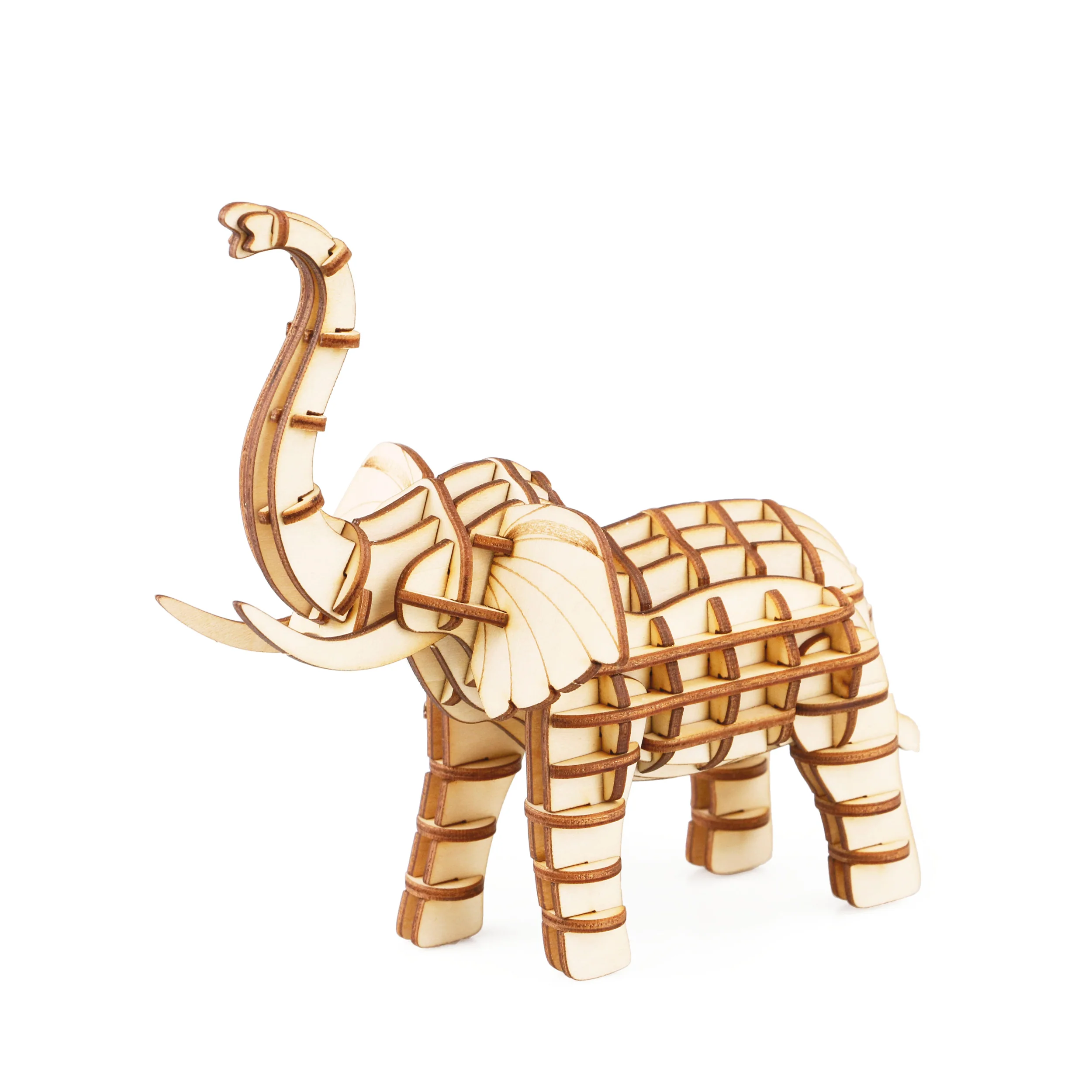 Miniatuur 1