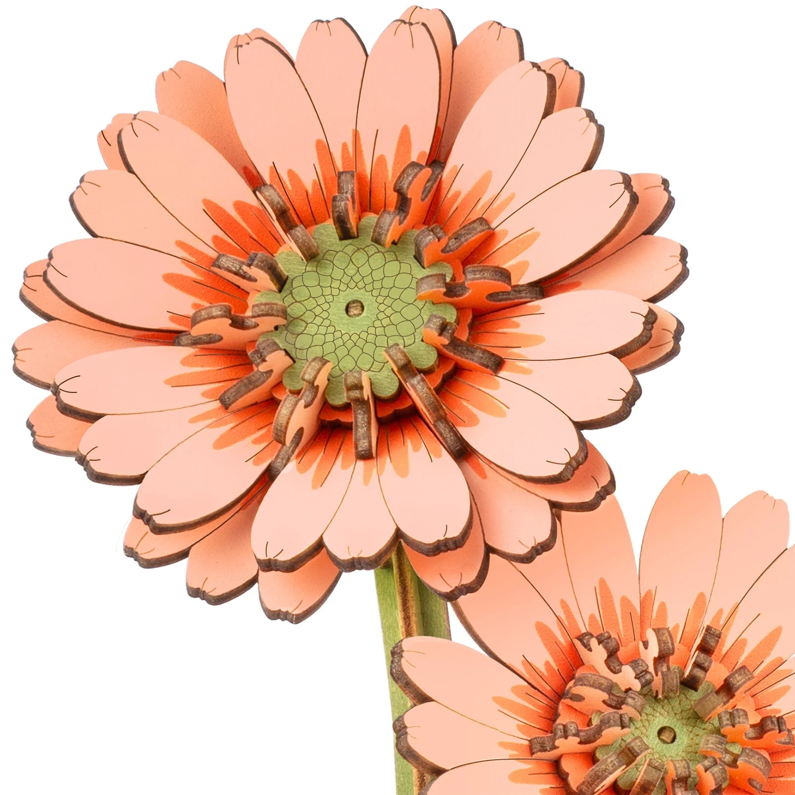Robotime Light Orange Gerbera / Lichtoranje Gerbera TW111 - Image 4