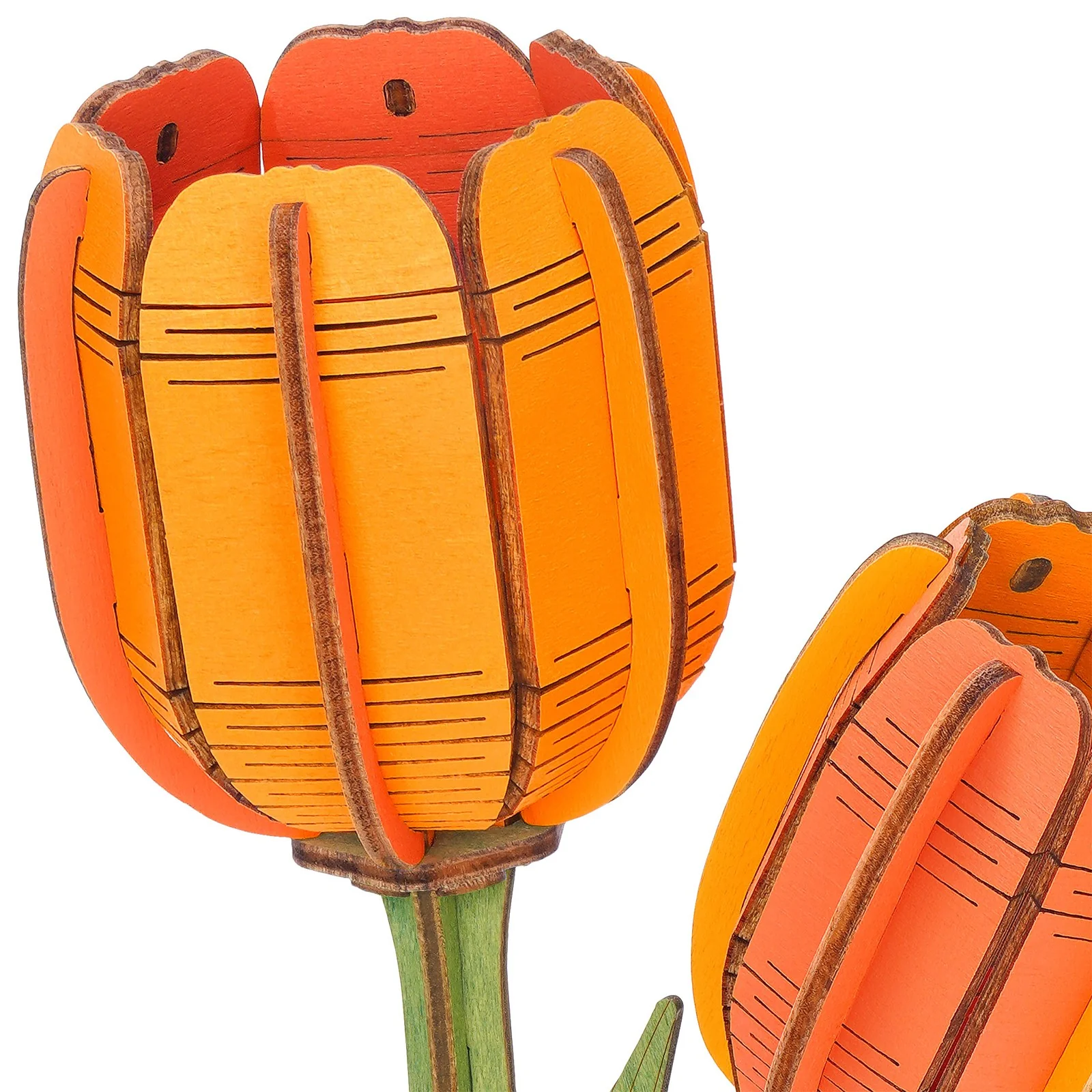 Robotime Orange Tulip / Oranje Tulp TW081 - Image 5