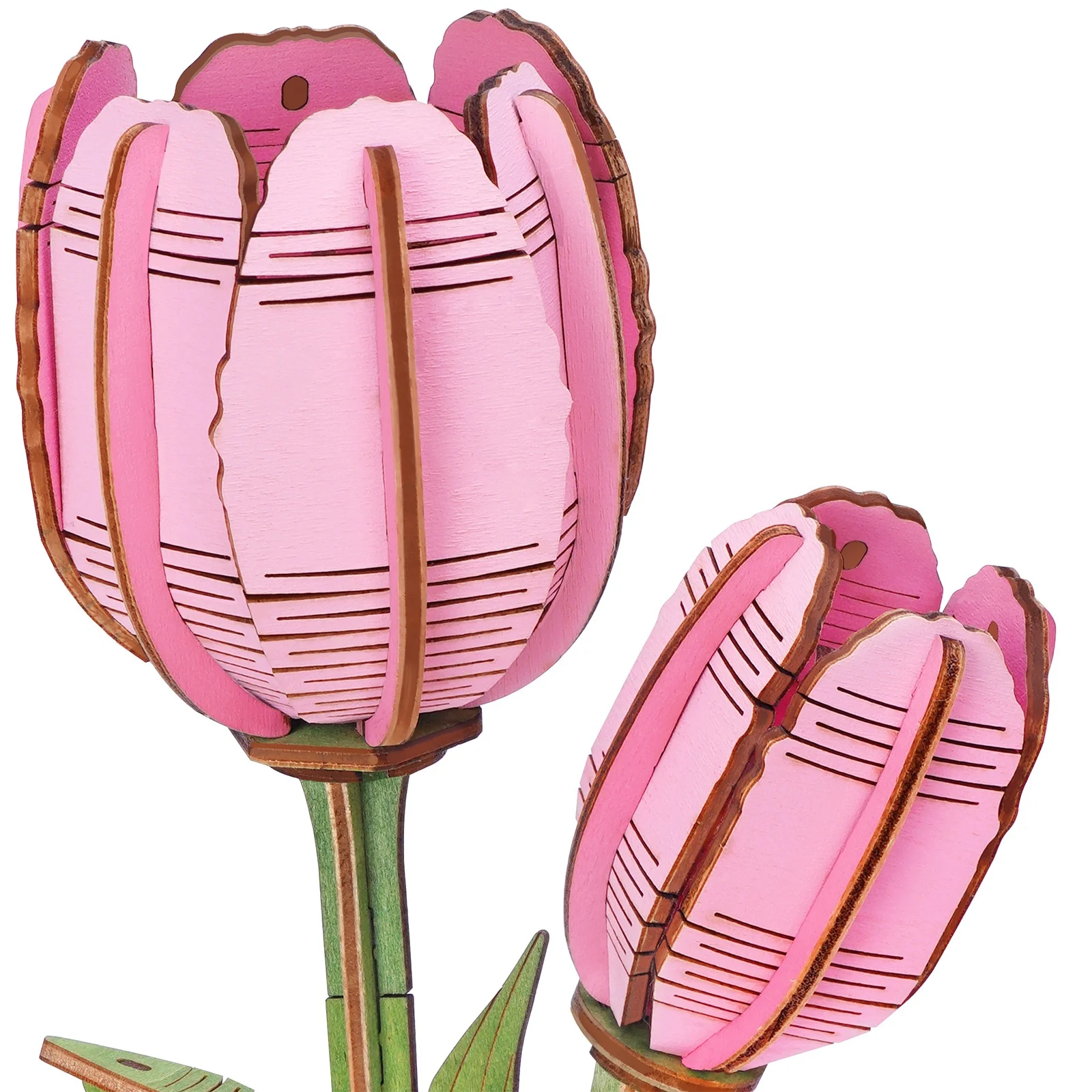 Robotime Pink Tulip / Roze Tulp TW082 - Image 4