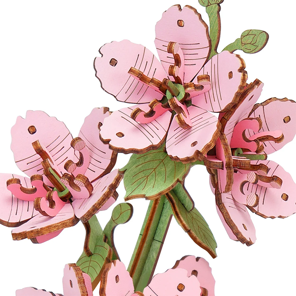 Robotime Sakura / Kersenbloesem TW101 - Image 4