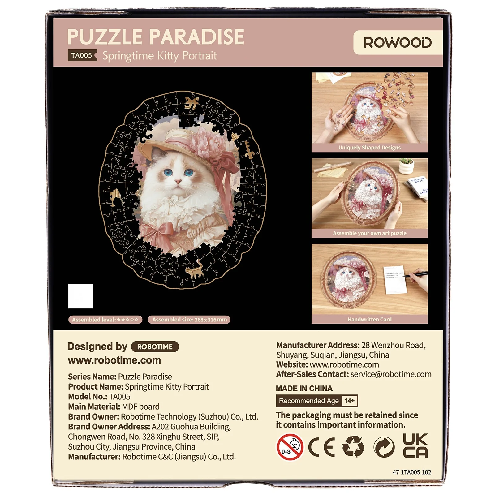 Robotime Springtime Kitty Portrait TA005 - Image 3