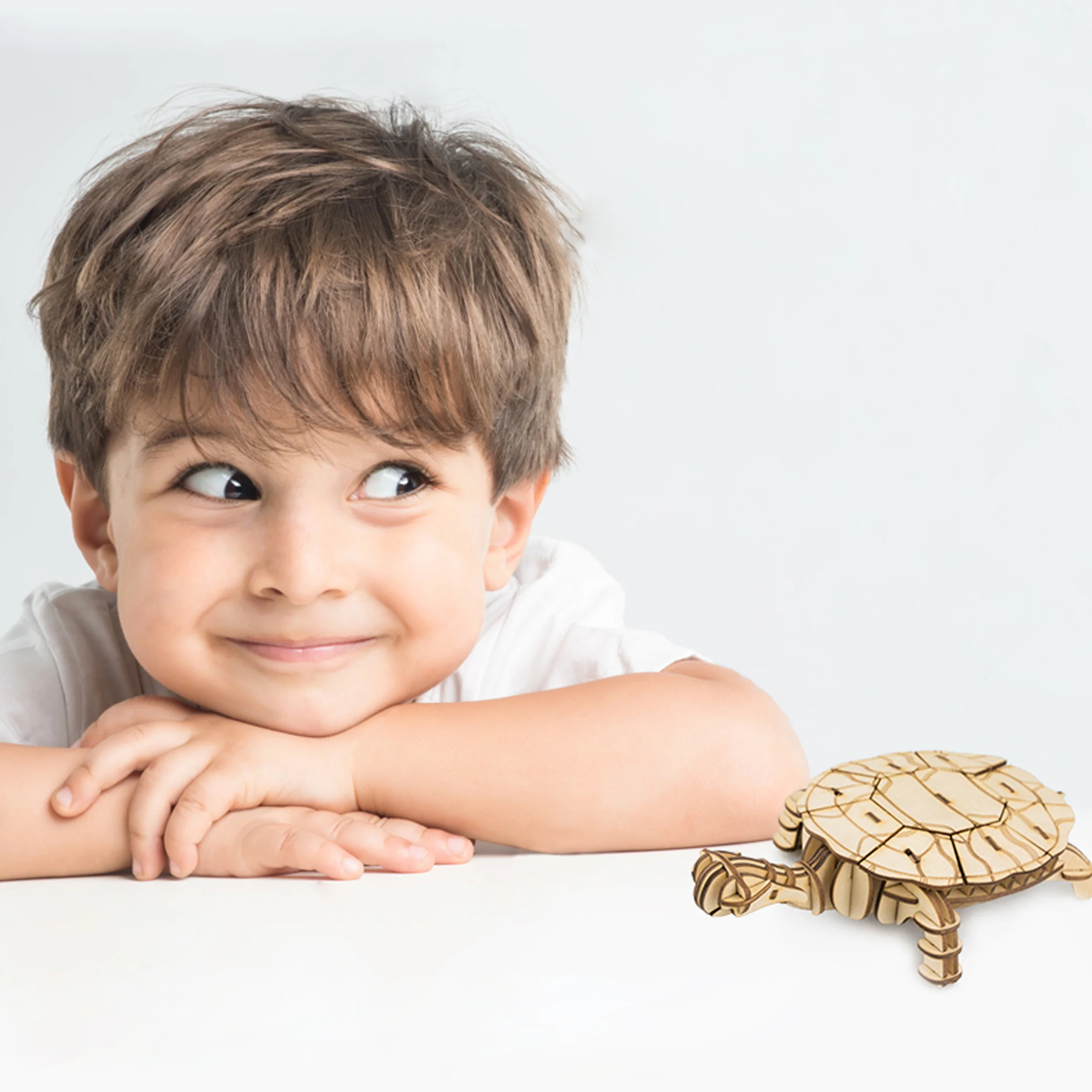Robotime Turtle TG275 - Image 3