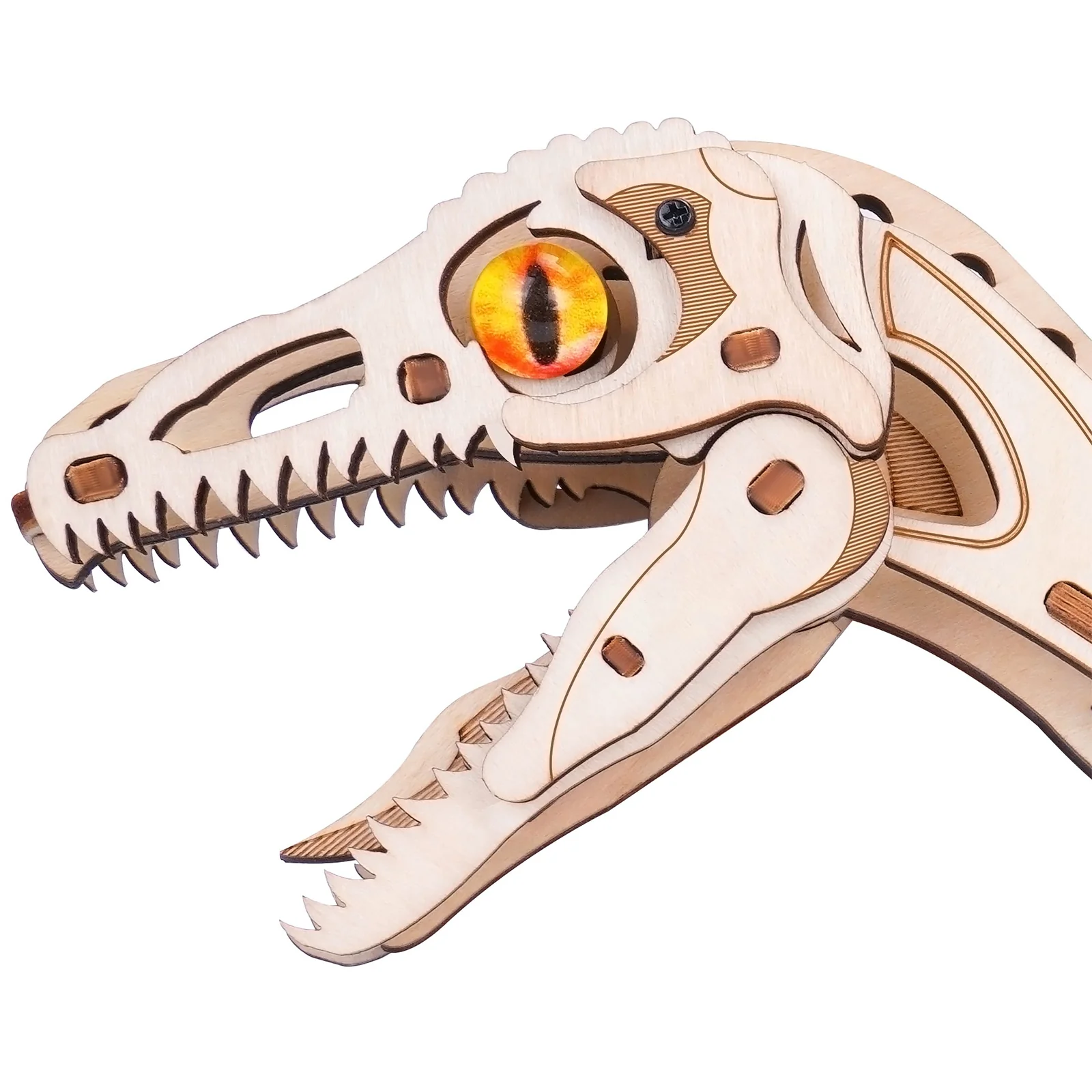 Robotime Velociraptor LD01 - Image 4